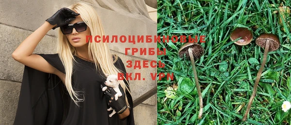 ГАЛЛЮЦИНОГЕННЫЕ ГРИБЫ Верхний Тагил