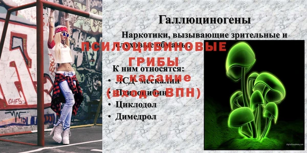 спиды Верея