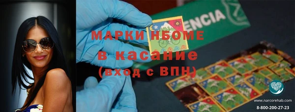 амф Бородино