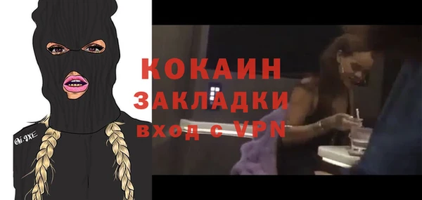 амф Бородино