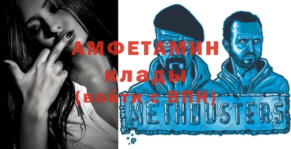 амф Бородино