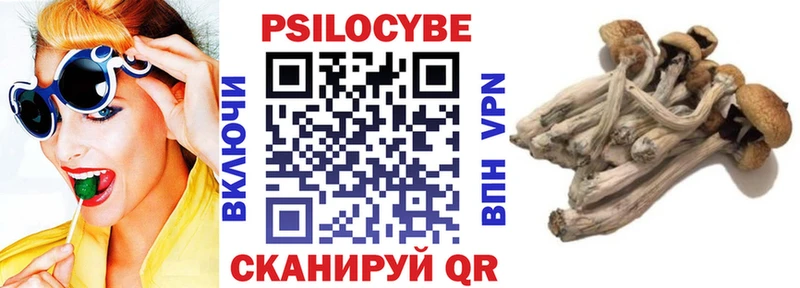 Галлюциногенные грибы прущие грибы  Сретенск 